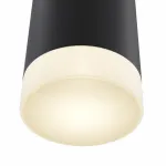 Бра Maytoni Dafne C027WL-L10B Цвет арматуры черный Цвет плафонов черный