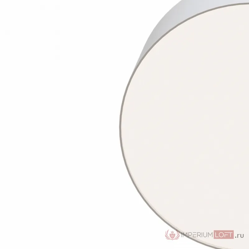 Накладной светильник Maytoni Zon C032CL-L12W4K Цвет арматуры белый Цвет плафонов белый от ImperiumLoft