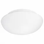 Потолочный светильник Eglo Ella 81636 