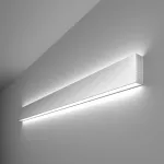 Накладной светильник Elektrostandard 101-100-40-103 a041470 Цвет арматуры серебро от ImperiumLoft