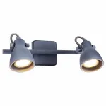 Спот Arte Lamp 9189 A9189AP-2GY Цвет арматуры серый Цвет плафонов серый