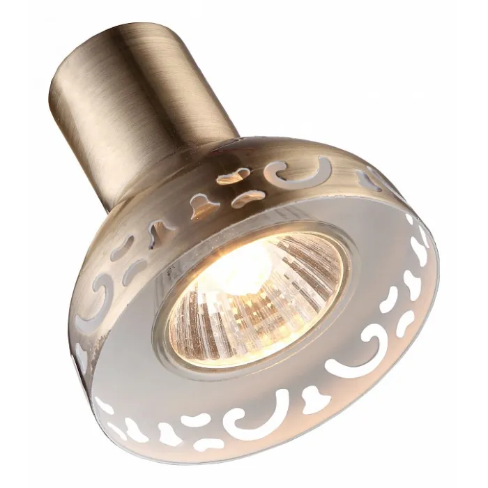 Спот Arte Lamp Focus A5219AP-1AB Цвет арматуры бронза Цвет плафонов бронза от ImperiumLoft