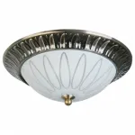 Потолочный светильник TopLight Paulina TL5050Y-02AB 