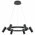 Подвесная люстра Vele Luce Neo 742 VL10012P06 