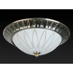 Потолочный светильник TopLight Paulina TL5050Y-02AB 