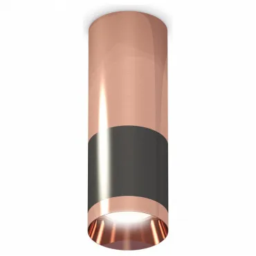 Накладной светильник Ambrella Techno Spot 204 XS6303060 Цвет арматуры бронза Цвет плафонов черный