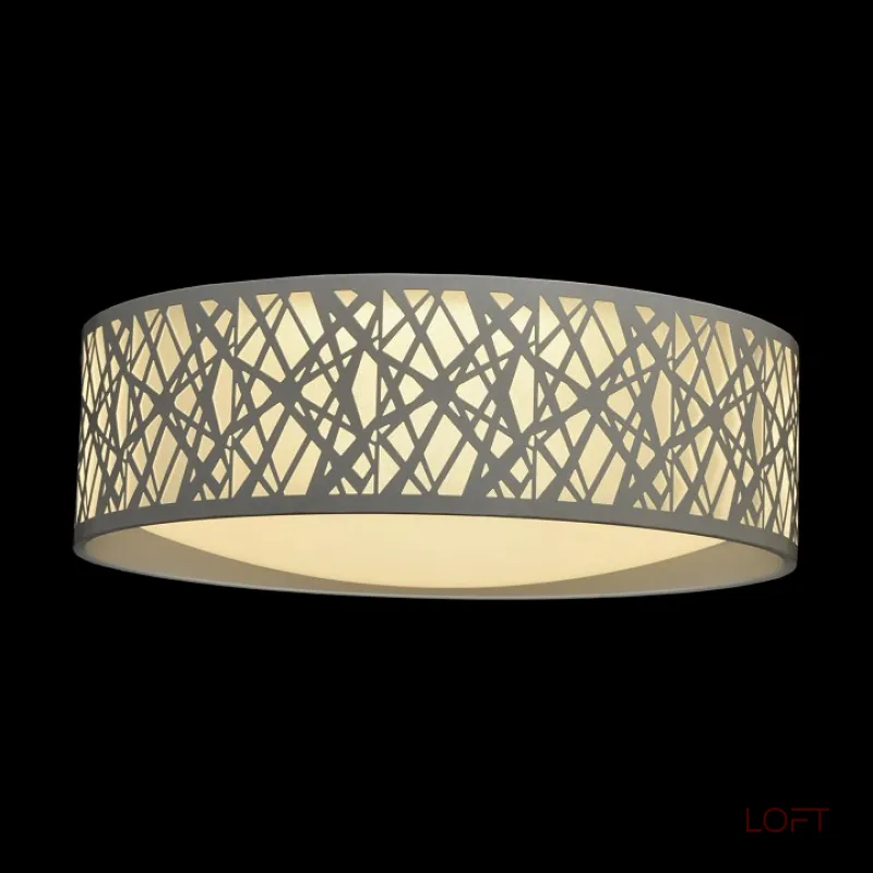 Потолочный светильник MW-Light Ривз 674012501