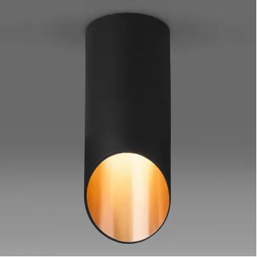 Накладной светильник Elektrostandard DLN114 a050120 Цвет плафонов золото Цвет арматуры черный