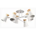 Потолочная люстра EVOLUCE Alfeo SLE1252-502-06 от ImperiumLoft