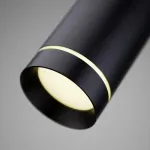 Подвесной светильник Elektrostandard DLR023 35084/H черный