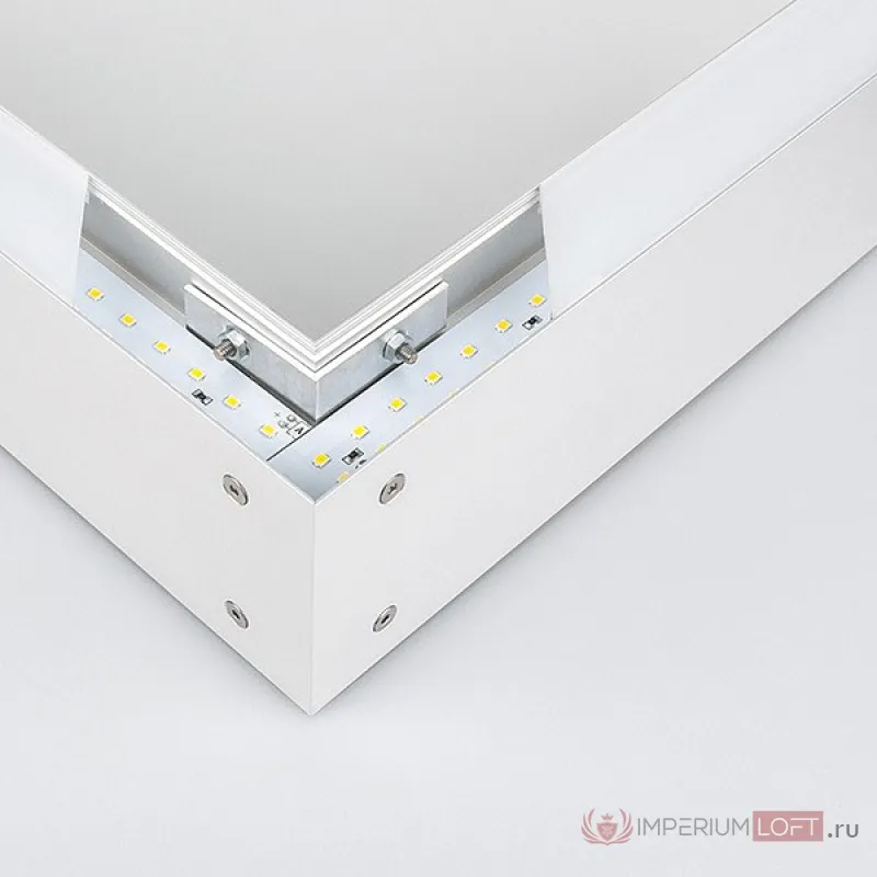Накладной светильник Elektrostandard 101-100-40-103 a041470 Цвет арматуры серебро от ImperiumLoft