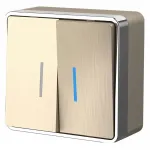Выключатель двухклавишный с подсветкой Werkel Gallant (шампань рифленый) W5020110 Gallant (шампань рифленый)