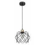 Подвесной светильник Vele Luce Scheletro VL6392P01 