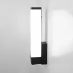 Светильник на штанге Elektrostandard MRL LED 1110 a052741 Цвет арматуры черный Цвет плафонов белый
