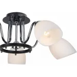 Потолочная люстра Arte Lamp Fiorentino A7144PL-5BK 