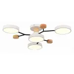 Потолочная люстра EVOLUCE Faema SLE6006-502-04