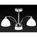 Потолочная люстра TopLight Celia TL3610X-03CH 