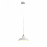 Подвесной светильник ST-Luce Pietanza SL323.503.01 от ImperiumLoft