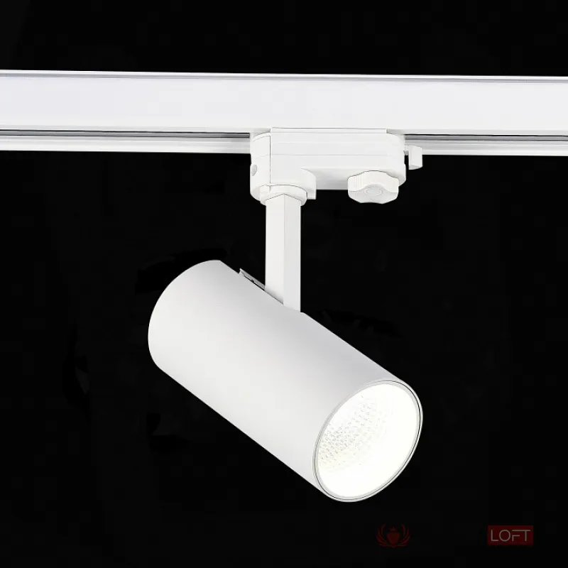 Светильник на штанге ST-Luce ST661 ST661.536.20 от ImperiumLoft