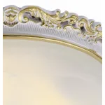 Потолочный светильник Arte Lamp Torta A7152PL-2WG 