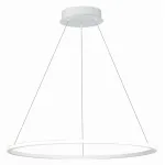 Подвесная люстра ST-Luce ST604 OUT ST604.543.34 