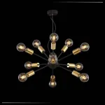 Подвесная люстра Maytoni Jackson T546PL-12B 