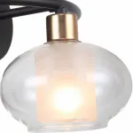 Бра Rivoli Anita Б0044510 Цвет арматуры черный Цвет плафонов прозрачный