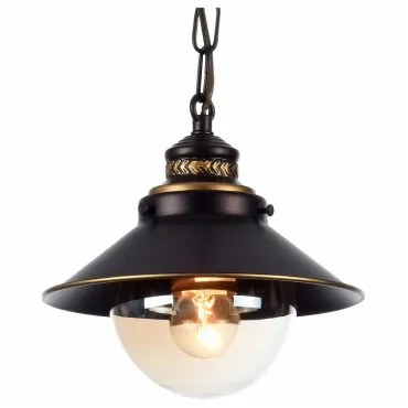 Подвесной светильник Arte Lamp Grazioso A4577SP-1CK Цвет арматуры черный Цвет плафонов прозрачный от ImperiumLoft