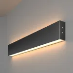 Накладной светильник Elektrostandard 101-100-40-53 a042923 Цвет арматуры черный Цвет плафонов белый