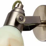 Бра Arte Lamp 9582 A9582AP-1AB Цвет арматуры бронза Цвет плафонов коричневый