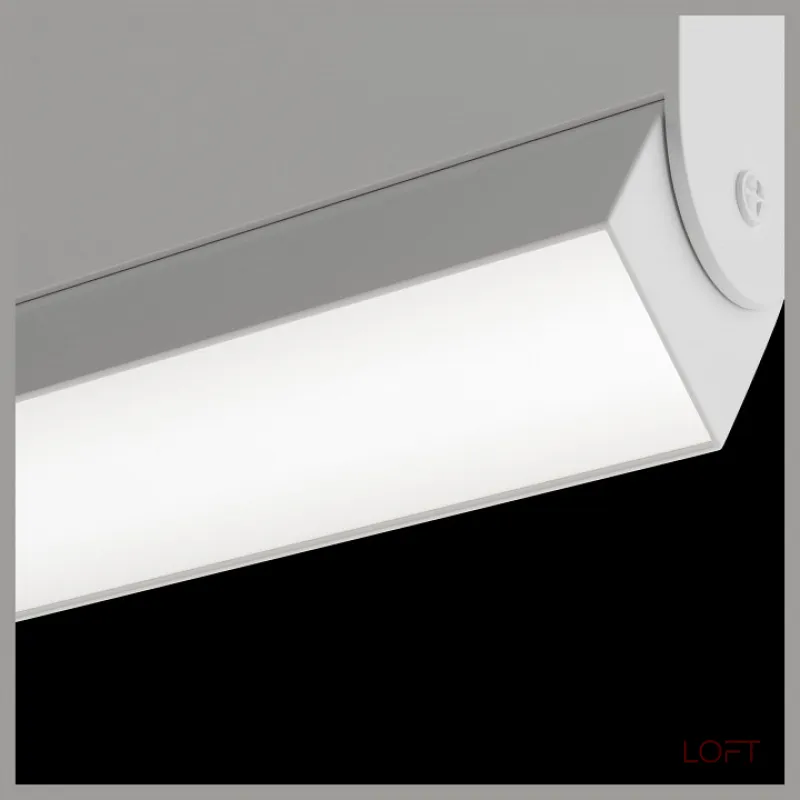 Светильник на штанге Maytoni Basis TR013-2-10W3K-W