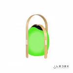 Колонка звуковая iLedex Giggle OVS1100-CH WH от ImperiumLoft