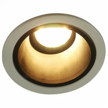 Встраиваемый светильник Arte Lamp 6663 A6663PL-1BK Цвет арматуры черно-белый Цвет плафонов белый