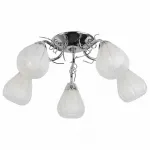 Потолочная люстра TopLight Alexia TL3640X-05CH 