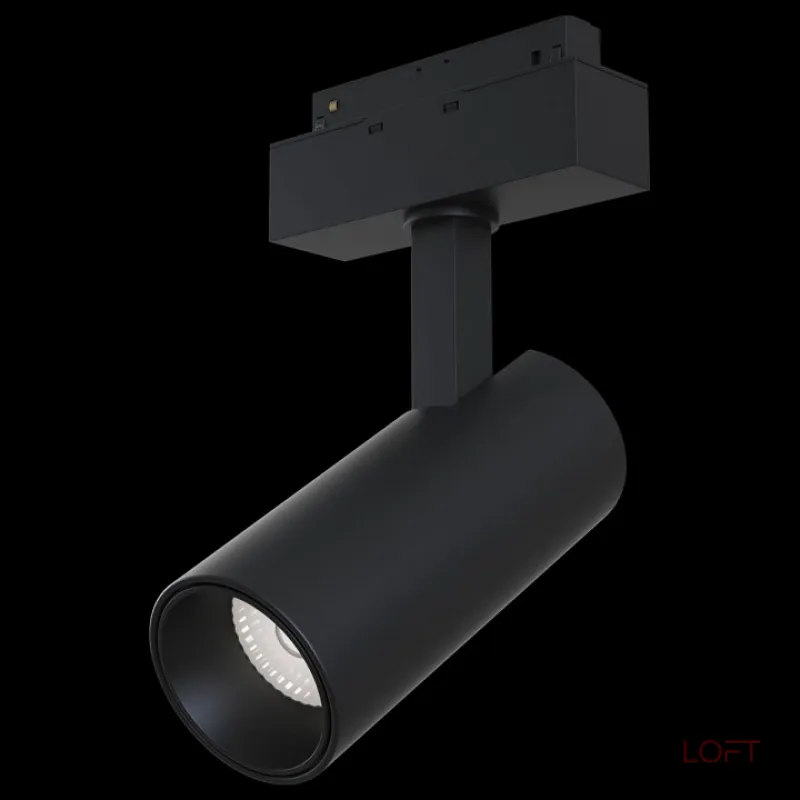 Светильник на штанге Maytoni Track lamps TR019-2-15W3K-B Цвет арматуры черный Цвет плафонов черный Светильник на штанге Maytoni Track lamps TR019-2-15W3K-B Цвет арматуры черный Цвет плафонов черный