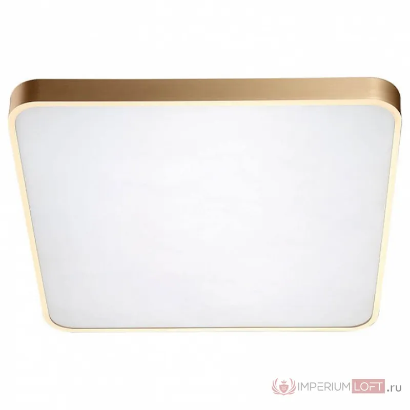 Накладной светильник Zumaline Sierra 12100006-GD Цвет арматуры золото Цвет плафонов белый от ImperiumLoft