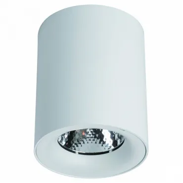 Накладной светильник Arte Lamp Facile A5112PL-1WH Цвет арматуры белый Цвет плафонов белый