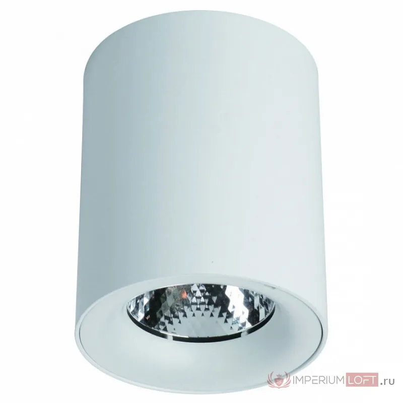 Накладной светильник Arte Lamp Facile A5112PL-1WH Цвет арматуры белый Цвет плафонов белый от ImperiumLoft