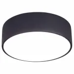 Потолочный светильник Citilux Тао CL712122N 