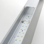 Накладной светильник Elektrostandard 101-100-40 a041476 Цвет арматуры серебро Цвет плафонов серебро