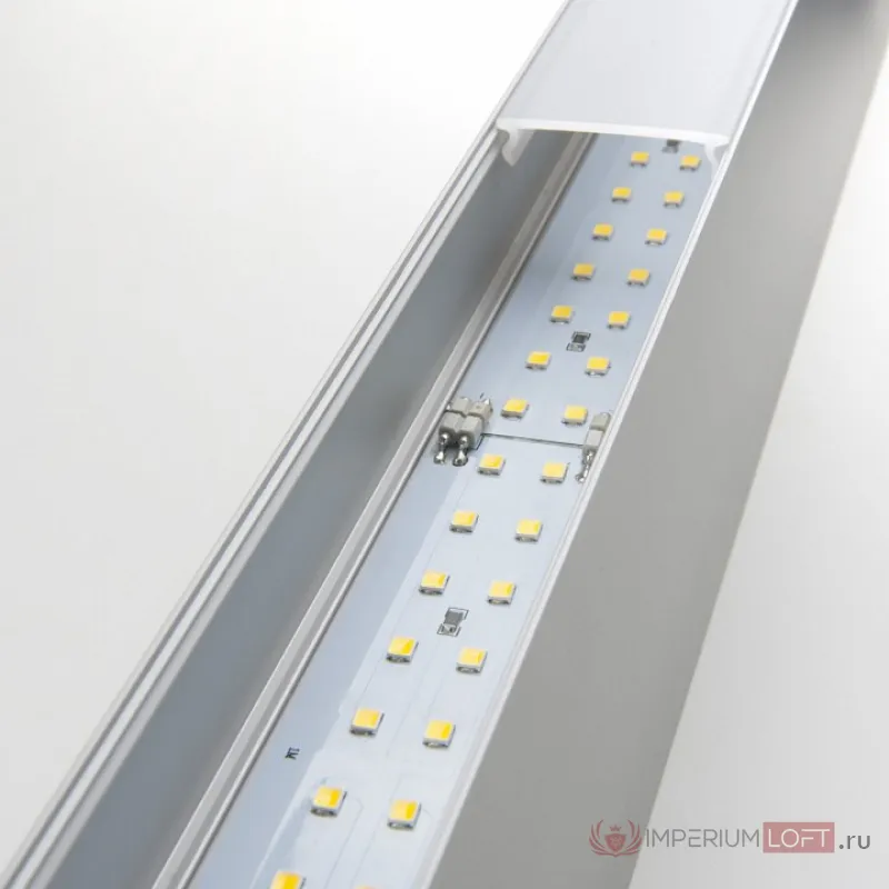Накладной светильник Elektrostandard 101-100-40 a041476 Цвет арматуры серебро Цвет плафонов серебро от ImperiumLoft