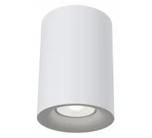 Потолочный светильник Technical C012CL-01W