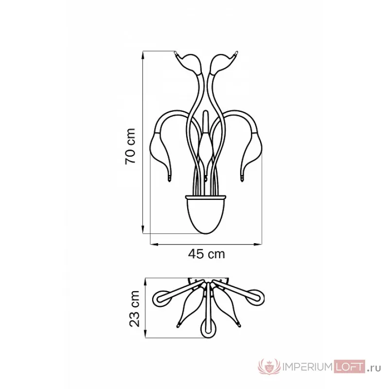 Бра Lightstar Cigno Collo 751657 Цвет арматуры черный от ImperiumLoft