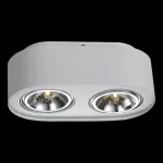 Накладной светильник Arte Lamp Cliff A5643PL-2WH Цвет арматуры белый Цвет плафонов хром