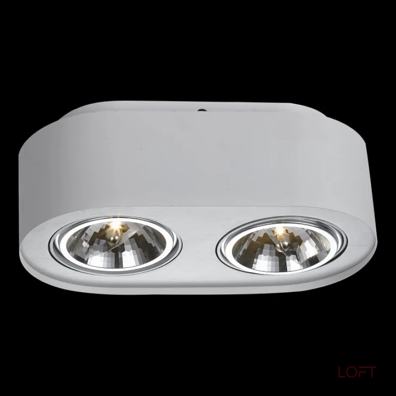 Накладной светильник Arte Lamp Cliff A5643PL-2WH Цвет арматуры белый Цвет плафонов хром