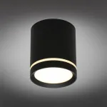 Накладной светильник Omnilux Capurso OML-102439-05