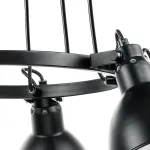 Подвесная люстра Lightstar Acrobata 761167 Цвет арматуры черный Цвет плафонов черный от ImperiumLoft