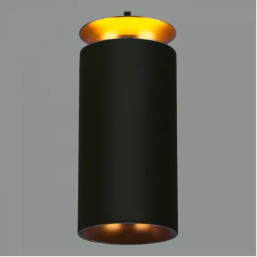 Подвесной светильник Elektrostandard DLS021 a045504 Цвет арматуры черный Цвет плафонов черный