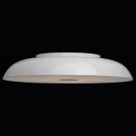 Накладной светильник MW-Light Канапе 708010409 Цвет арматуры белый Цвет плафонов белый от ImperiumLoft