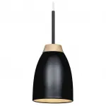 Подвесной светильник Loft it Watchman LOFT4402A-BL Цвет плафонов черный Цвет арматуры черный от ImperiumLoft